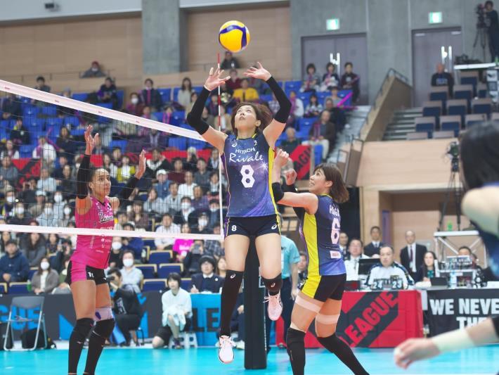 現役時代の藤井美弥さん。丁寧なトスワークは仲間から絶大な信頼を寄せられた＝Astemoリヴァーレ茨城提供